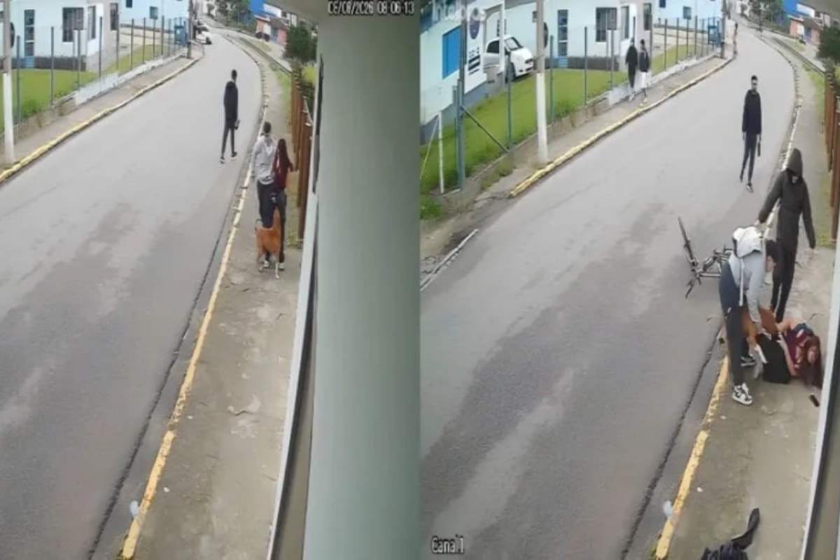 Pit bull em situação de rua ataca jovem: “Achei que ia me estraçalhar”