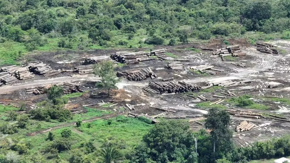 IPAM apresenta calculadora de danos climáticos à PGR