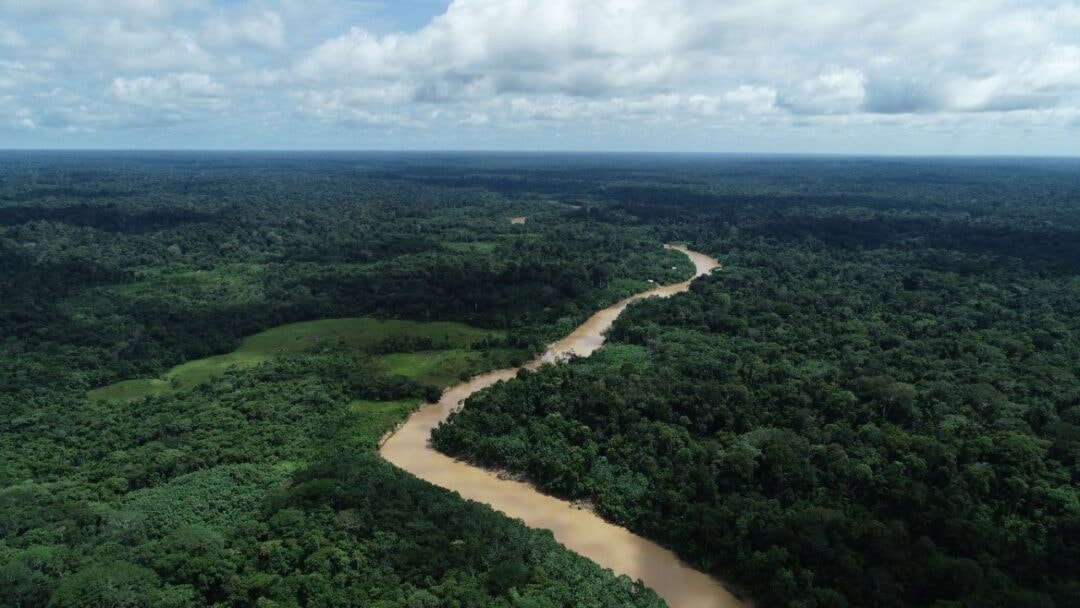 Redução da vegetação nativa deixa Brasil mais exposto aos eventos extremos do El Niño, aponta MapBiomas
