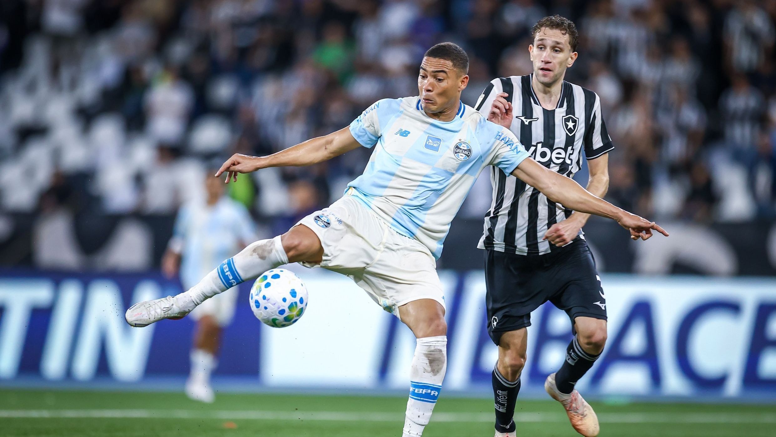 Mirassol x Botafogo: horário e onde assistir ao jogo do Brasileirão