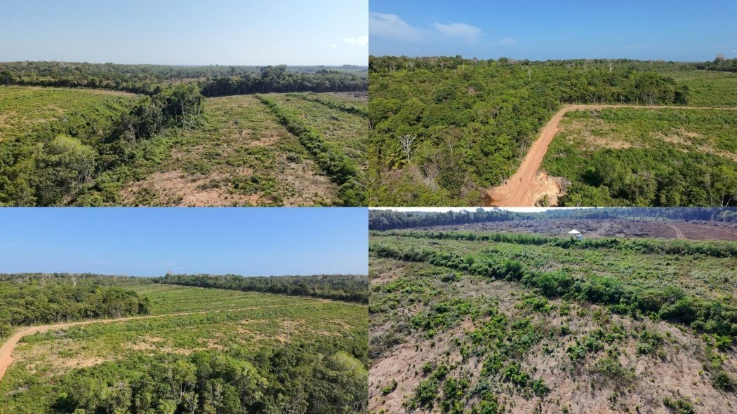 Megaprojeto de mineração de potássio sobrepõe território Mura, reafirma Funai