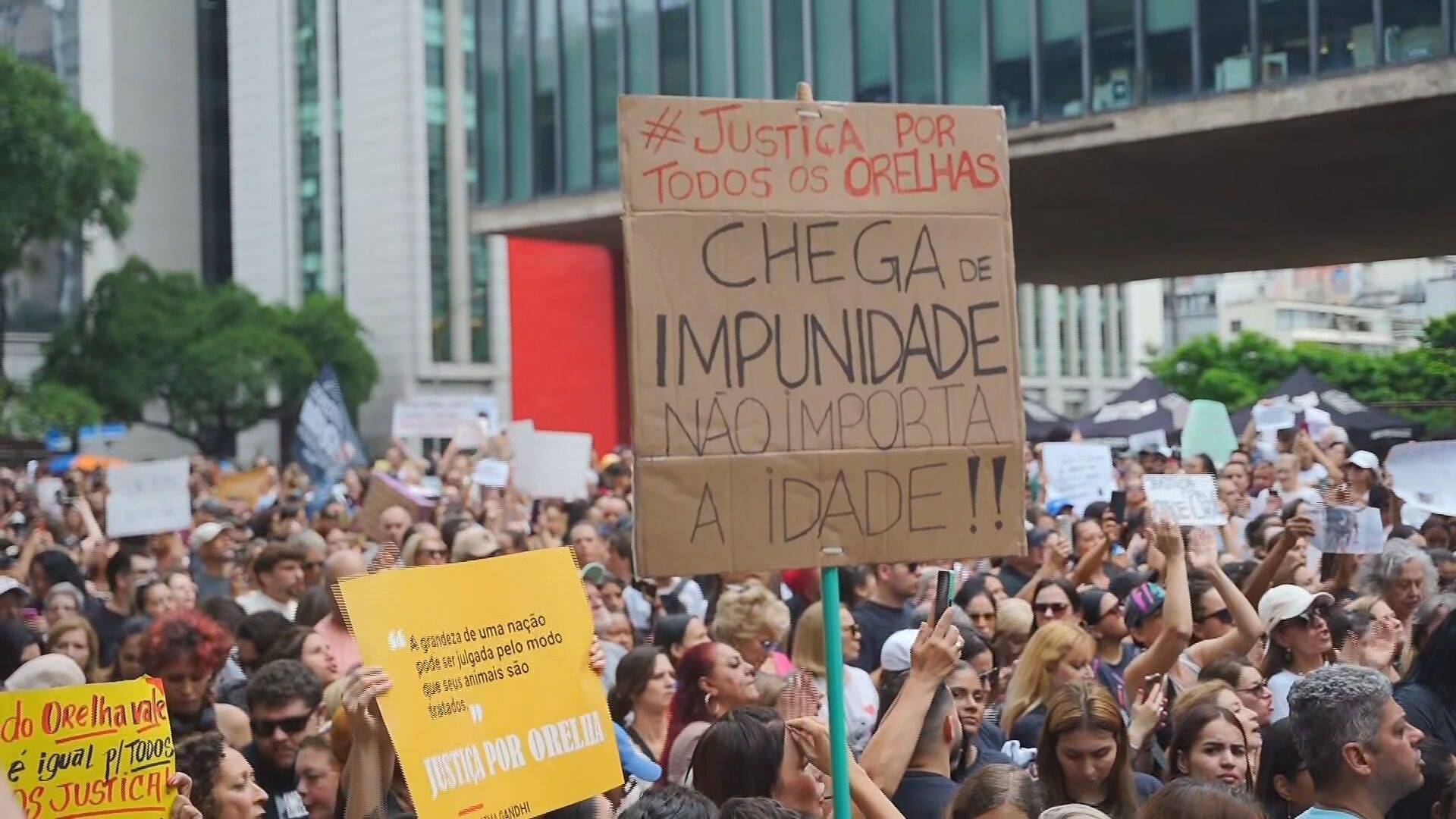 Tortura animal: manifestação reúne pessoas em endereço de suspeita em SP
