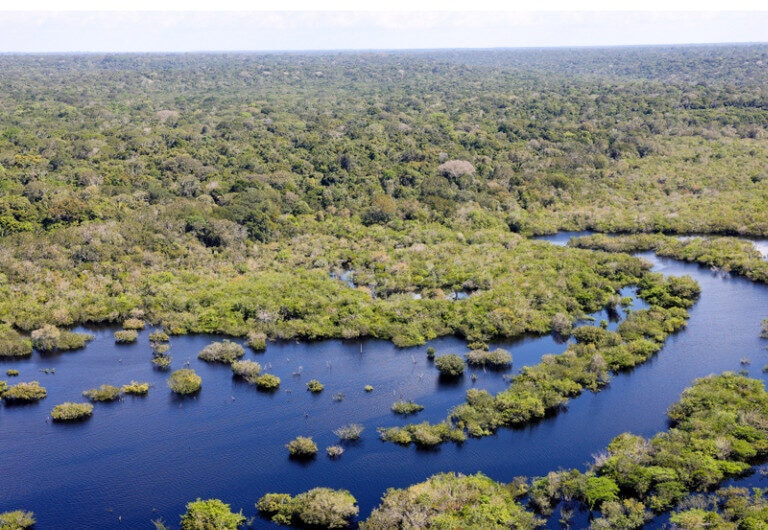 Índice de Democracia Ambiental mostra que Amazônia Legal apresenta baixo nível de transparência