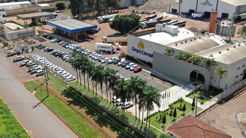 NotCo vende operação no Brasil e acelera recuo internacional da foodtech