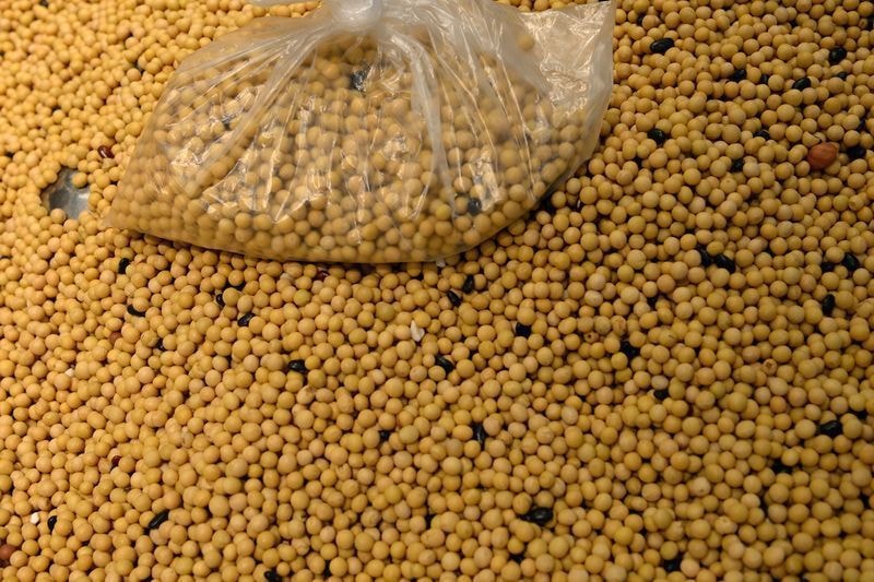 China pode cortar até 25% da importação de soja brasileira até 2030