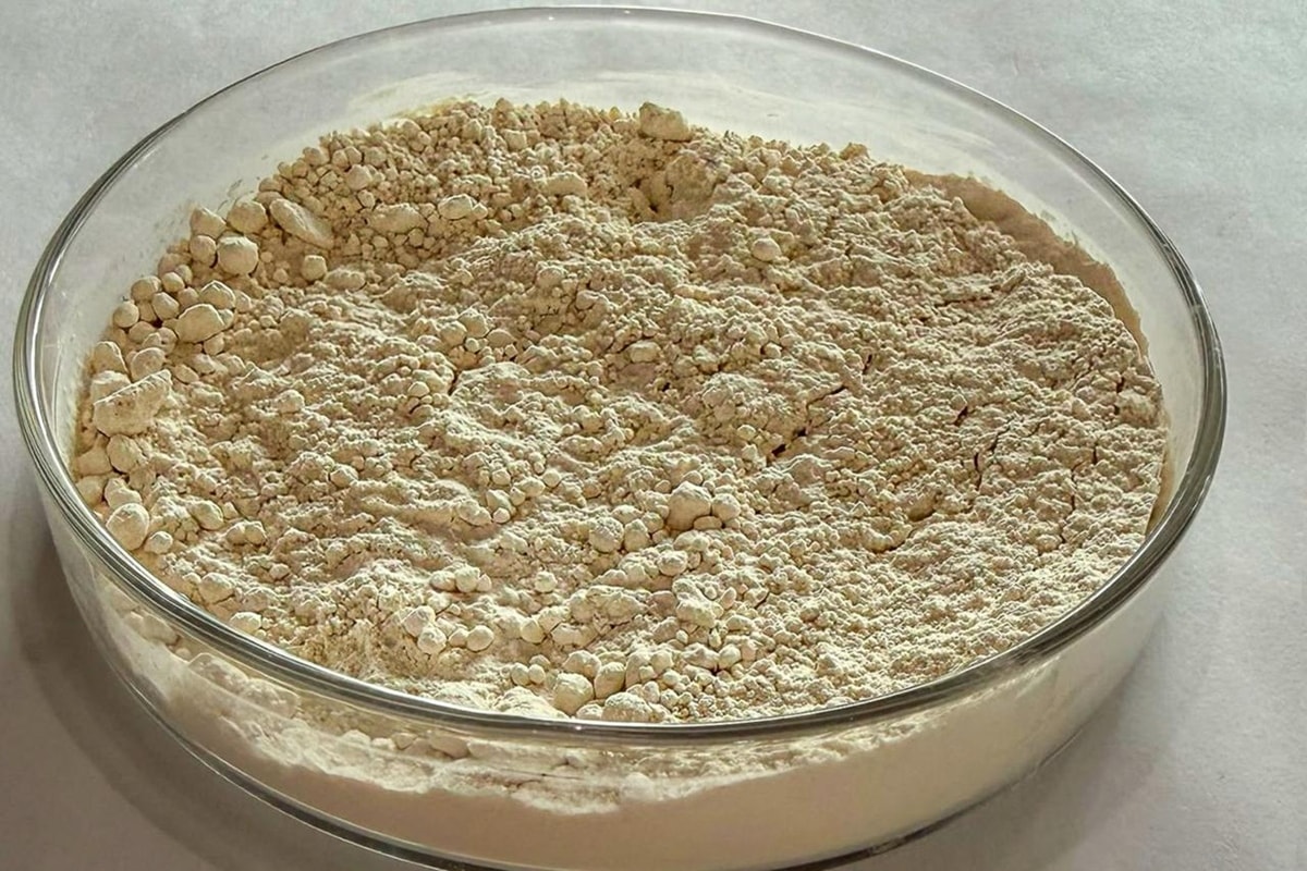Pesquisa brasileira transforma grãos quebrados de feijão em proteína