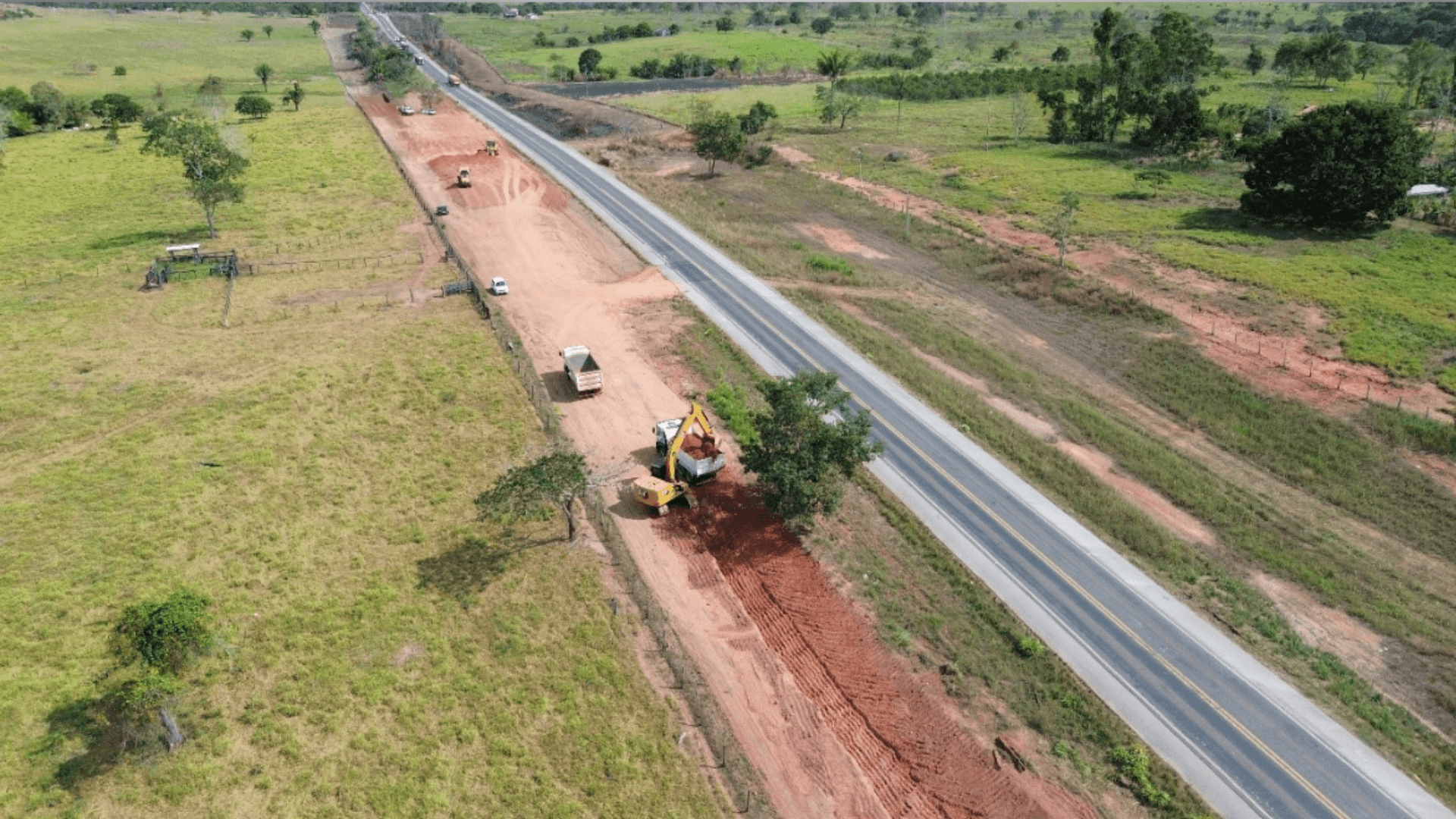 Rodovia brasileira corta a Mata Atlântica com viadutos gigantes; entenda