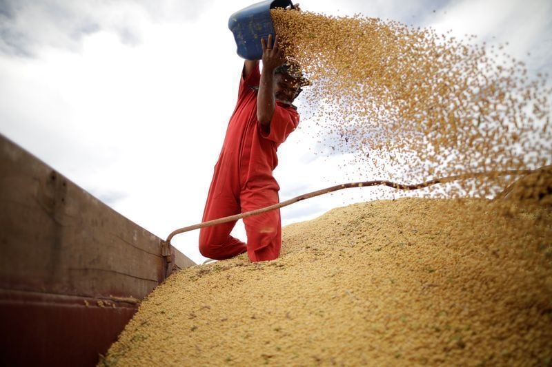 Preços à vista da soja sobem nos EUA e geram lucro para agricultores