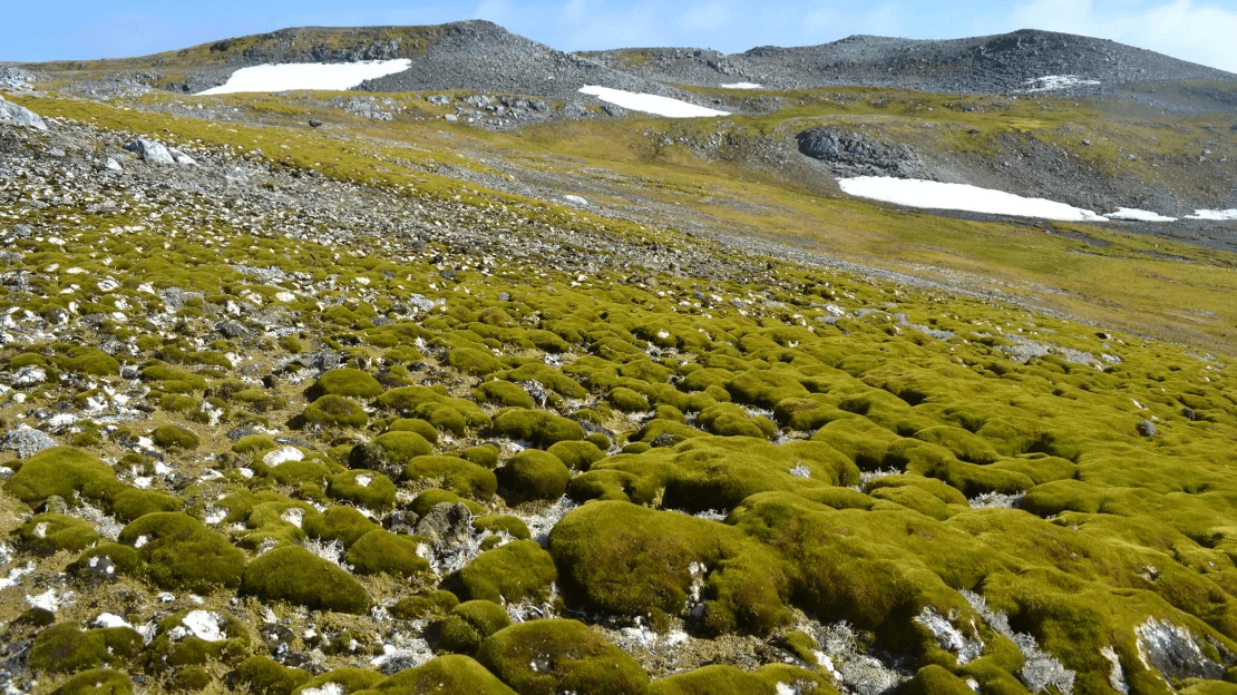 Enterrado sob a Antártida, um cofre guarda os segredos do clima da Terra