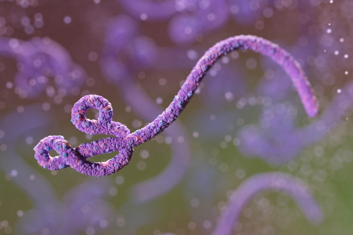 Dados mostram que surto de ebola no Congo já é o 2º maior da história