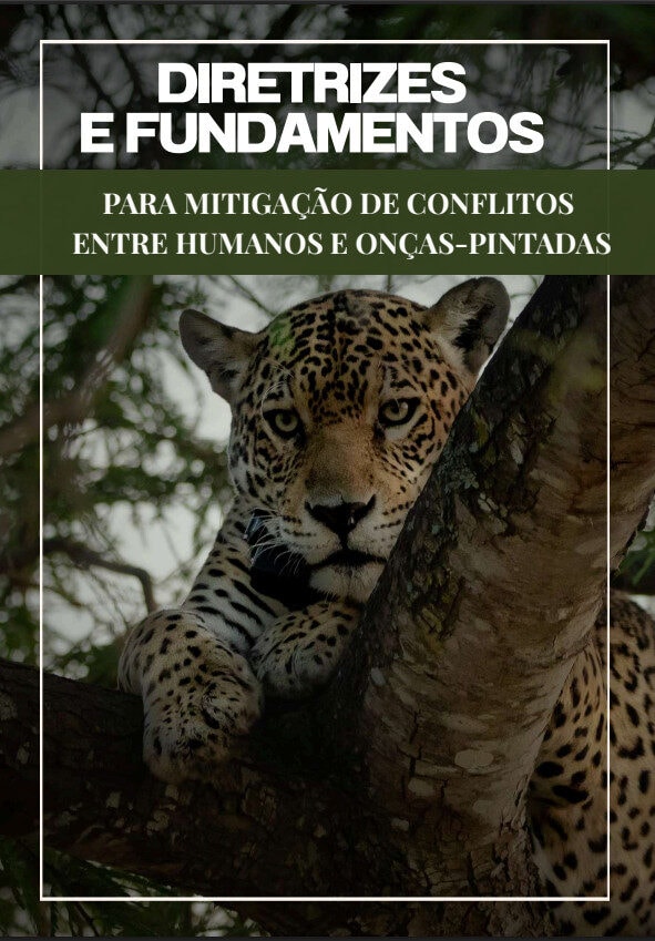 Pesquisas da Ufam contribuem para diretrizes nacionais sobre manejo e conflitos entre humanos e onças-pintadas