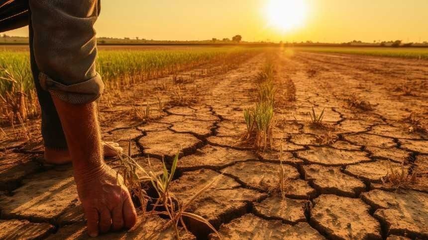 El Niño forte pode levar mais 49 milhões de pessoas à fome aguda, diz ONU