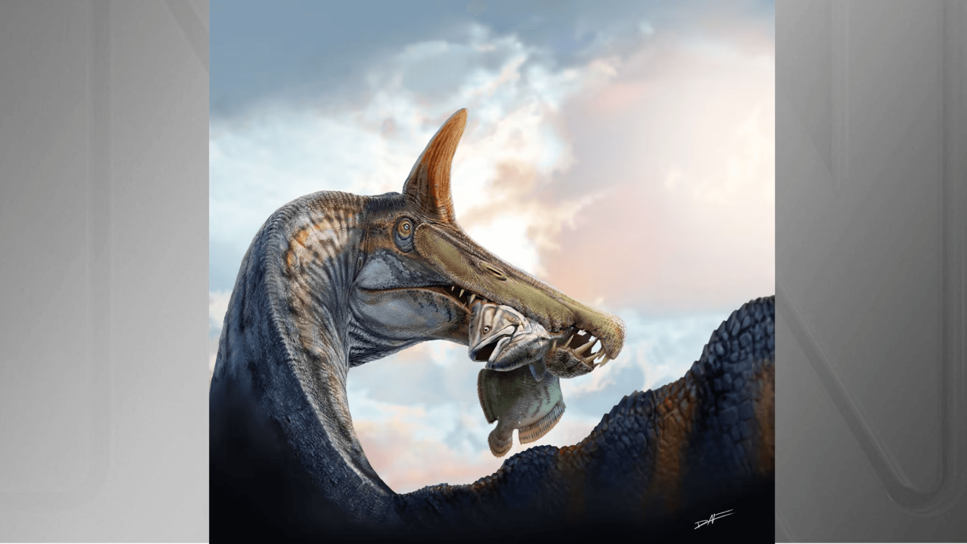 Fóssil de espécie anterior aos dinossauros é descoberta no Brasil