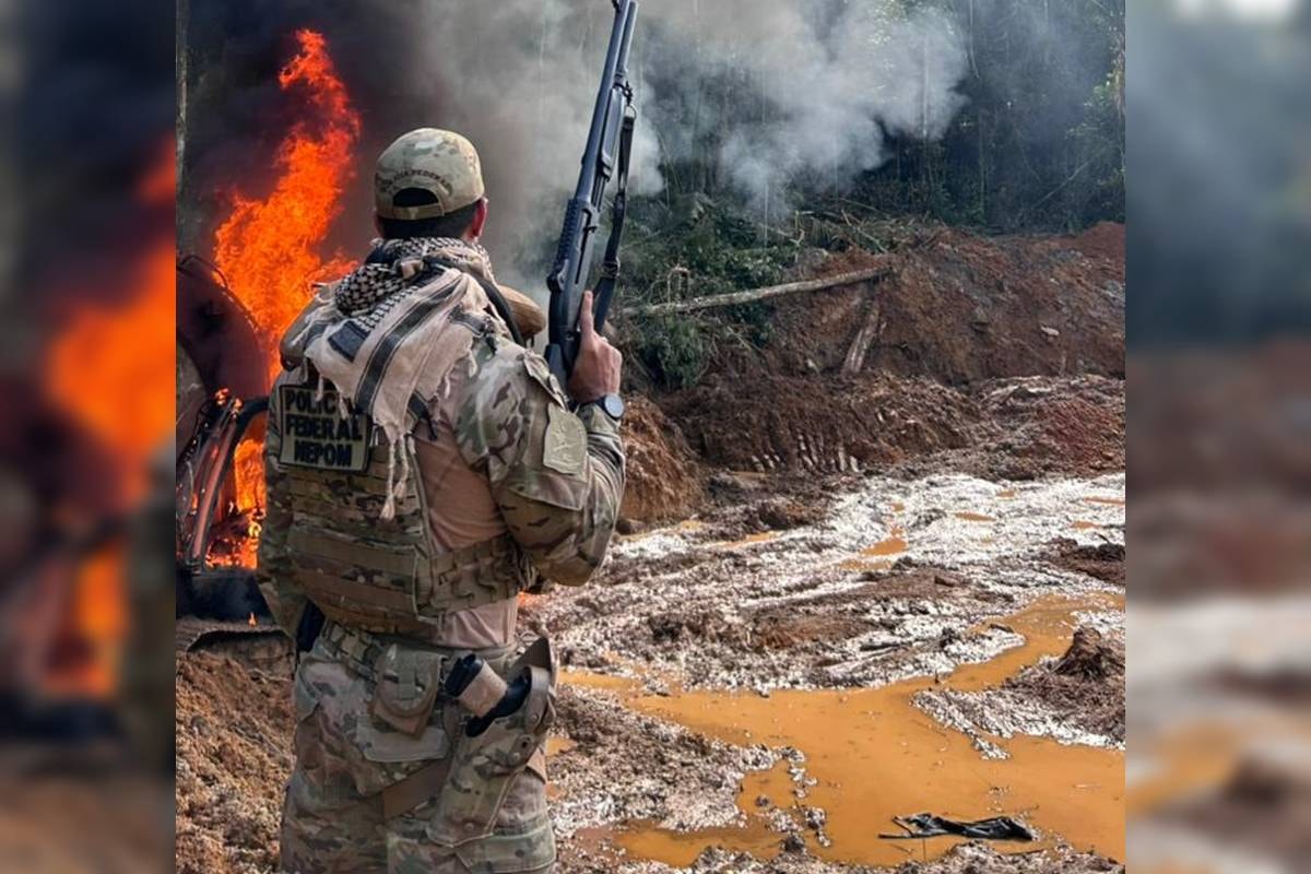 Garimpo ilegal na Amazônia: PF destrói máquinas usadas na mineração. Veja vídeo