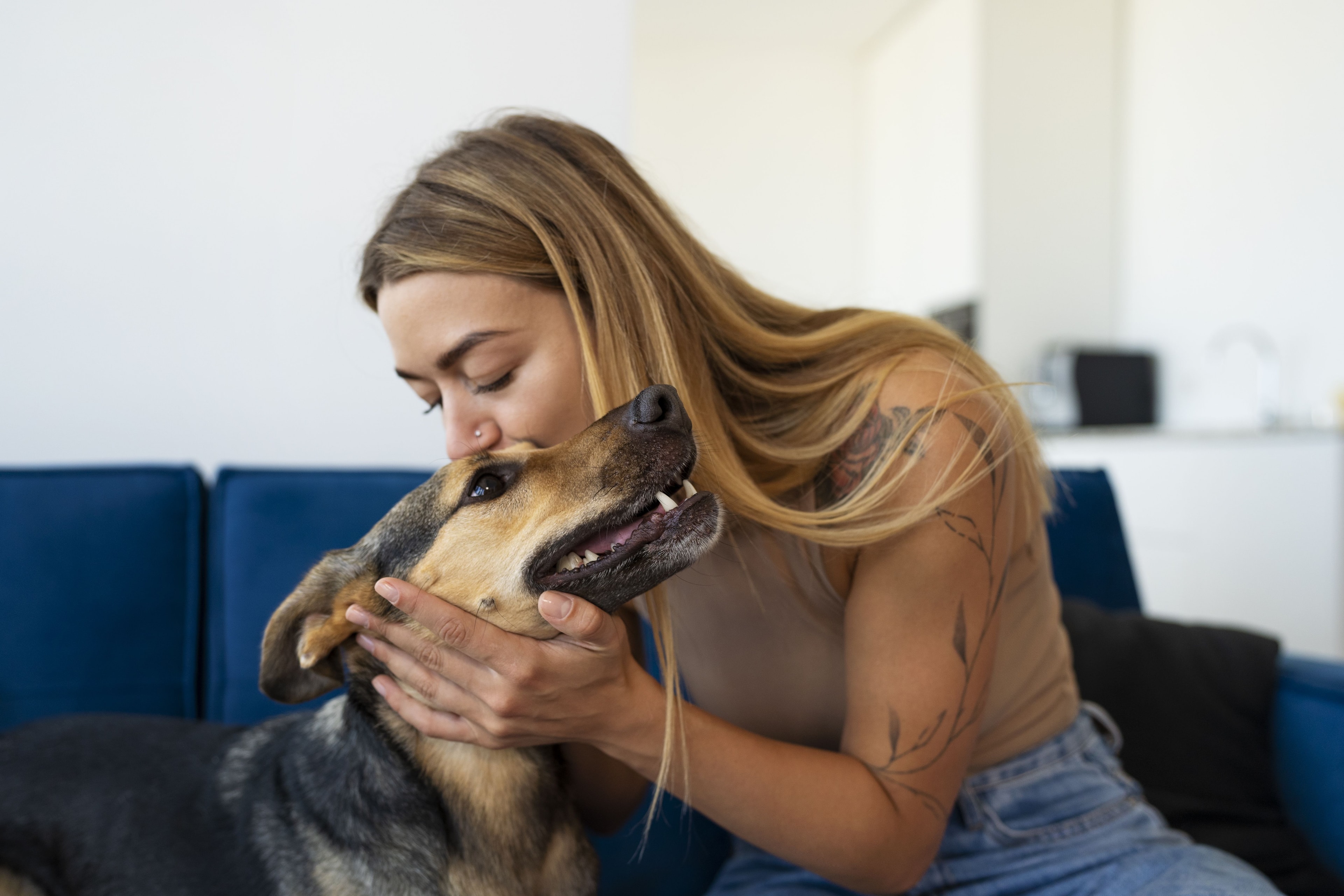 Empresa chinesa diz ter dispositivo capaz de “traduzir” sons de pets