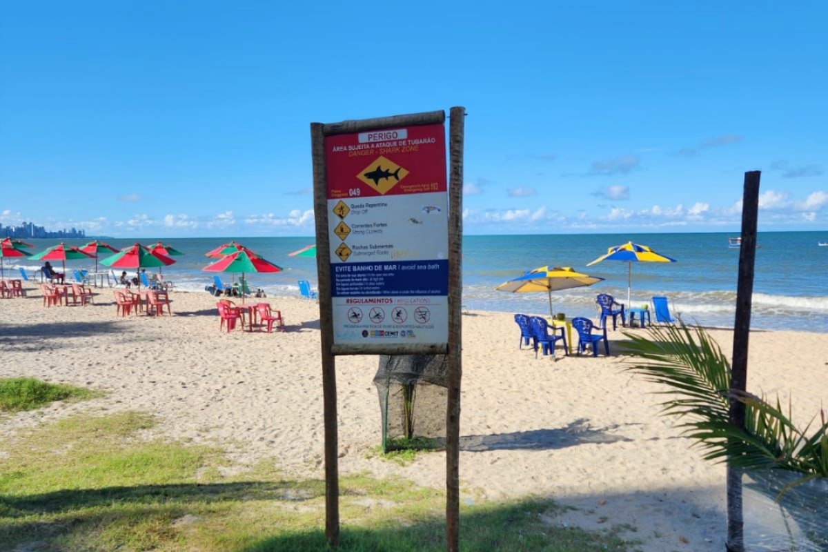 Vítimas de ataques de tubarão permanecem internadas em estado grave