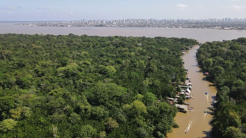 Soja certificada pode movimentar até R$ 5,6 bi por ano e ampliar mercados