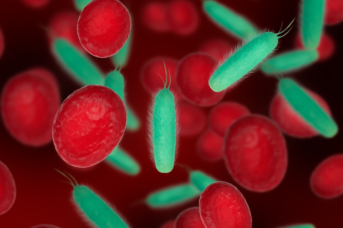 Anemia após os 60 anos pode elevar risco de demência, aponta estudo