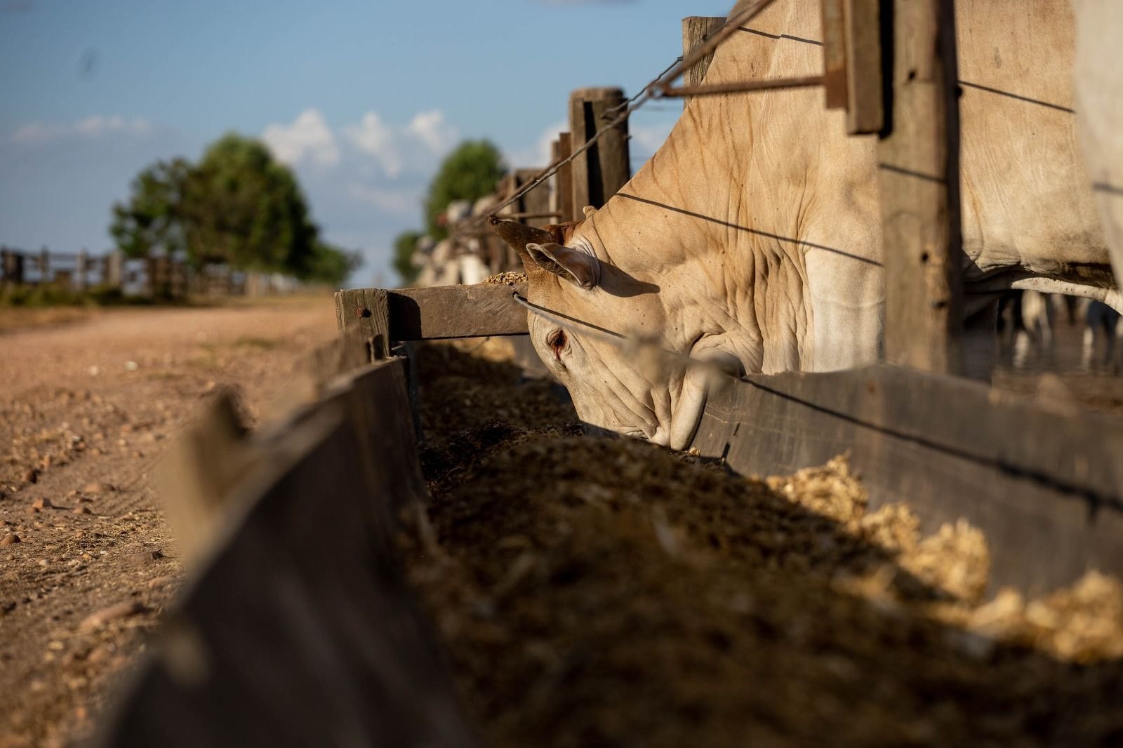 Farsul aponta que inflação de alimentos não vem do campo