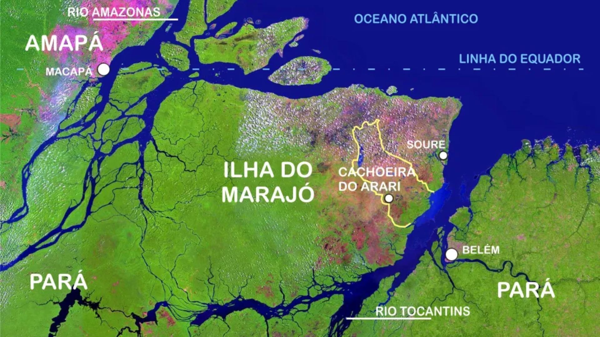 Padre que empalhou 12 mil piranhas criou “computador caipira” com madeira, manivelas e barbantes no meio da Amazônia