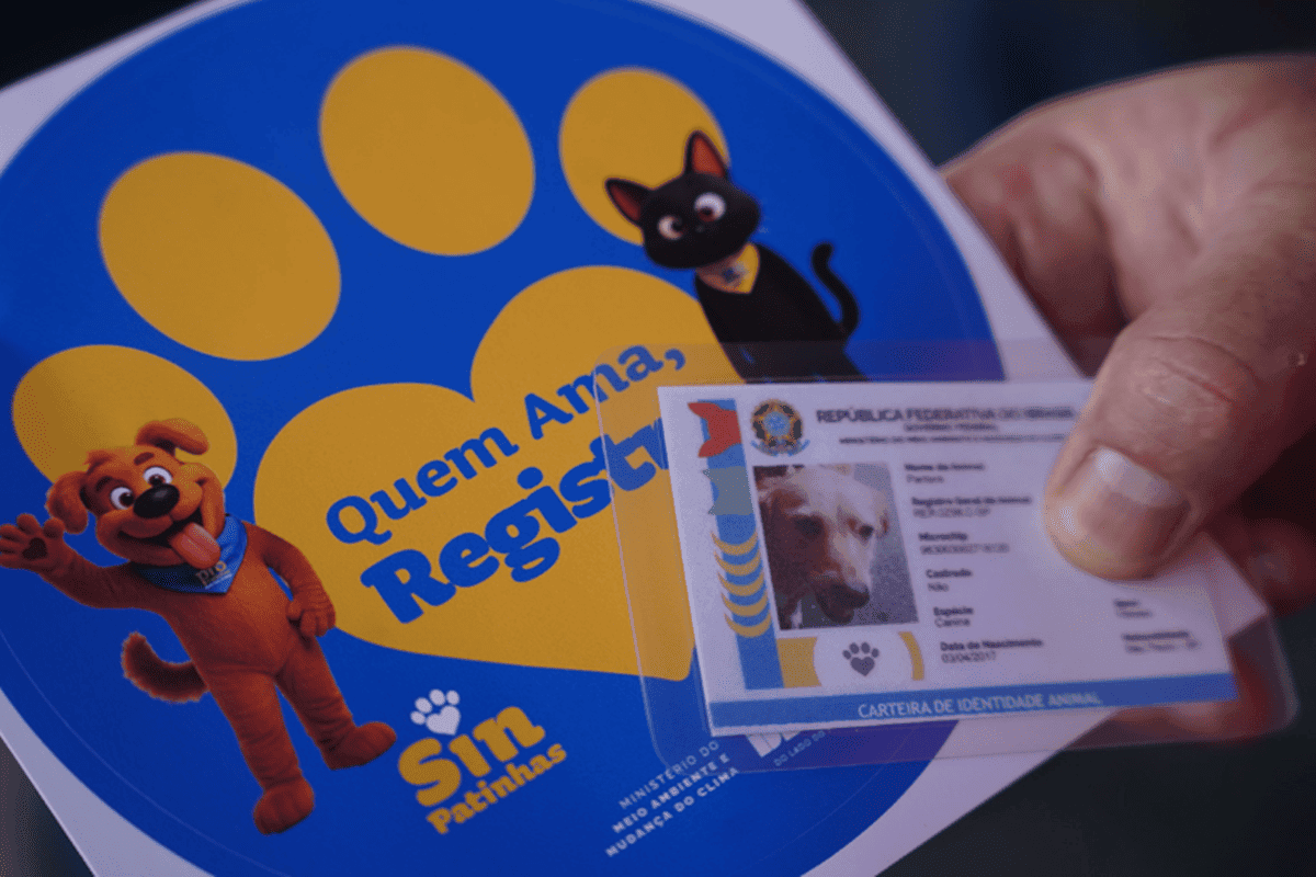Carreta veterinária leva serviços gratuitos para cães e gatos no DF