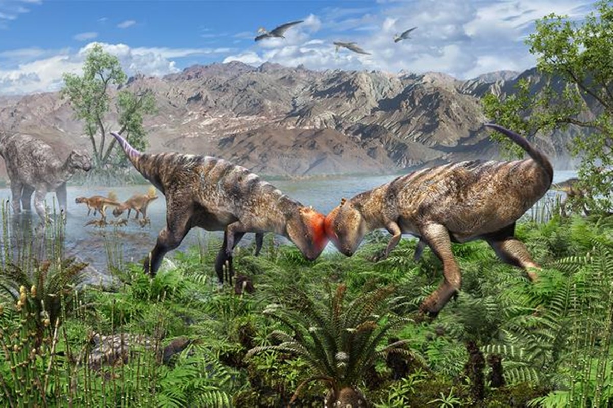 Entenda como os paleontólogos descobrem os hábitos dos dinossauros