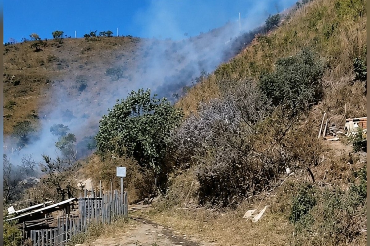 Incêndios mobilizam bombeiros em quatro pontos diferentes de BH