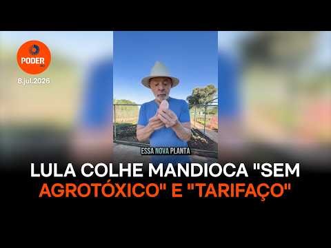 Lula colhe mandioca “sem agrotóxico” e “sem tarifaço”, posta Janja
