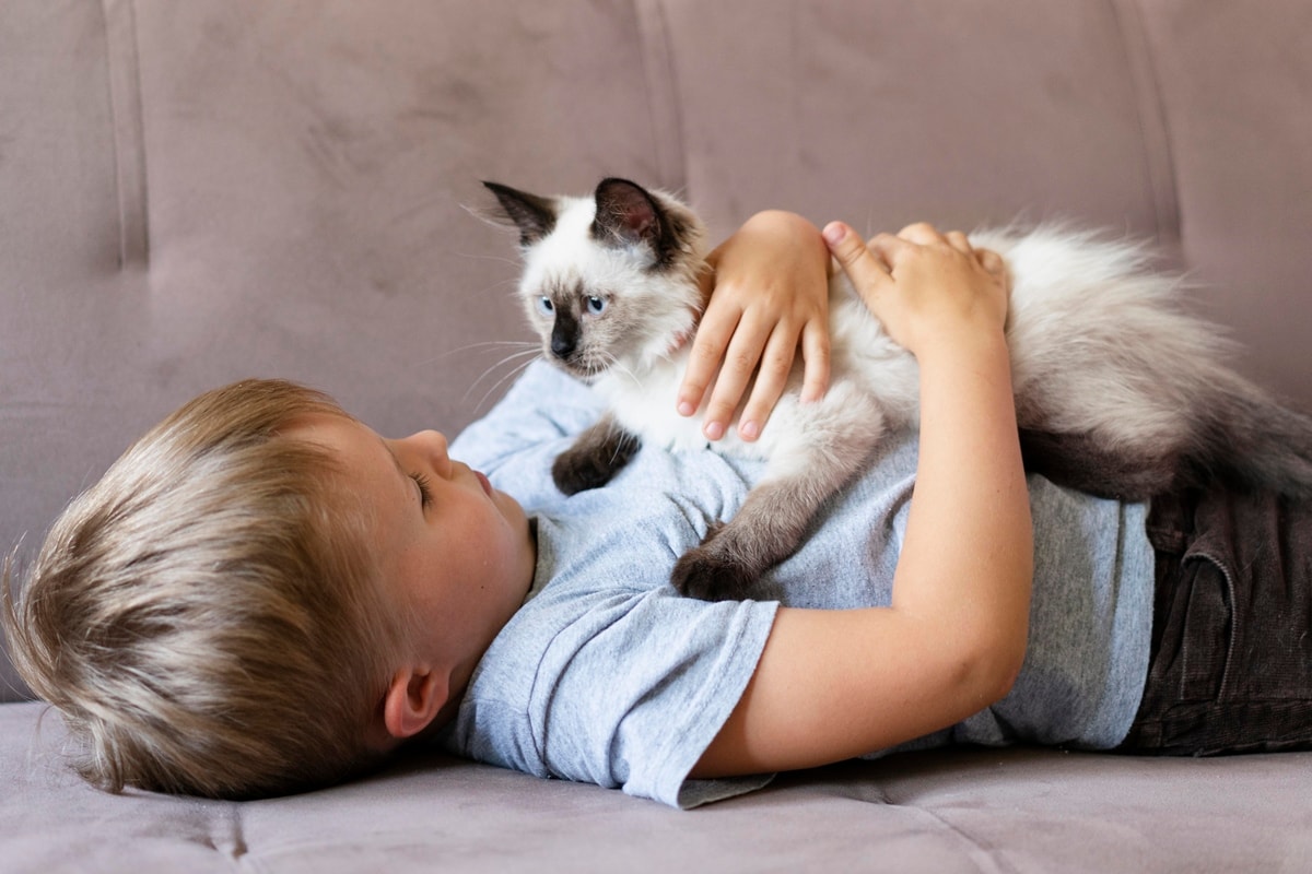 Afeto, companhia e conforto: como pets ajudam no bem-estar emocional