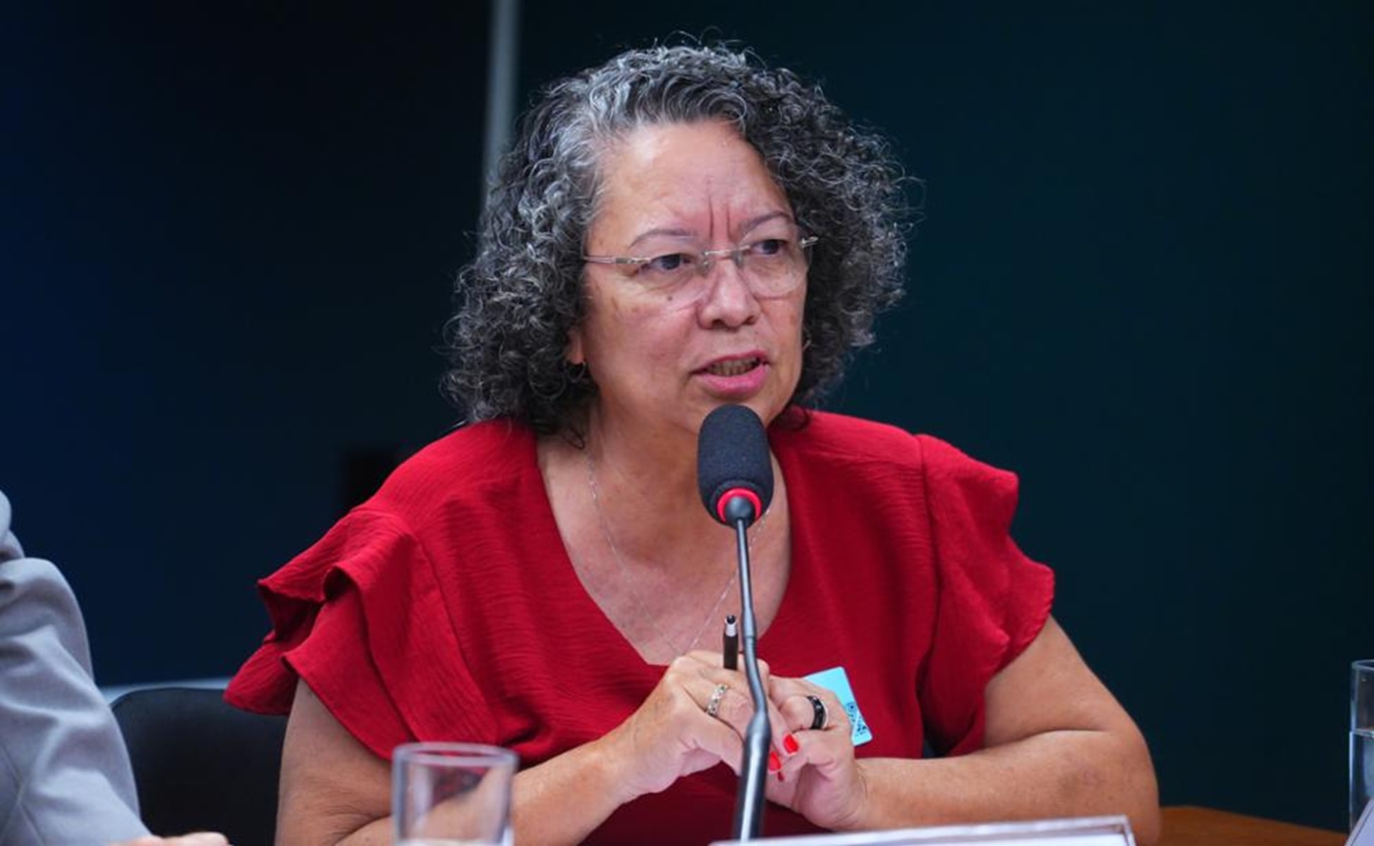 Corrupção é "doença social", diz chefe de comitê anti-compra de votos
