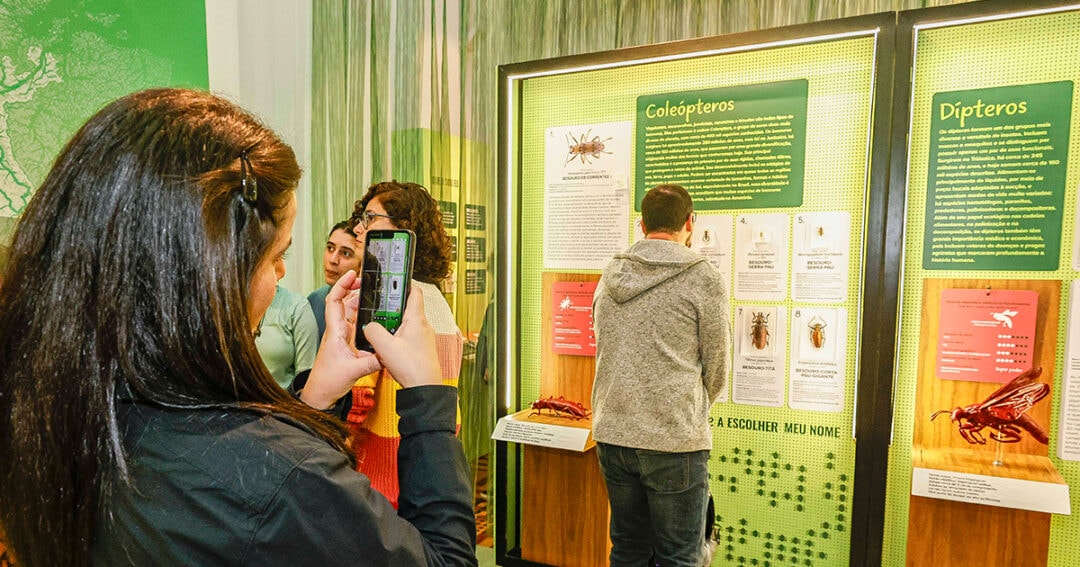 Exposição no Museu de Zoologia explora grandiosidade da Amazônia a partir das pequenas espécies