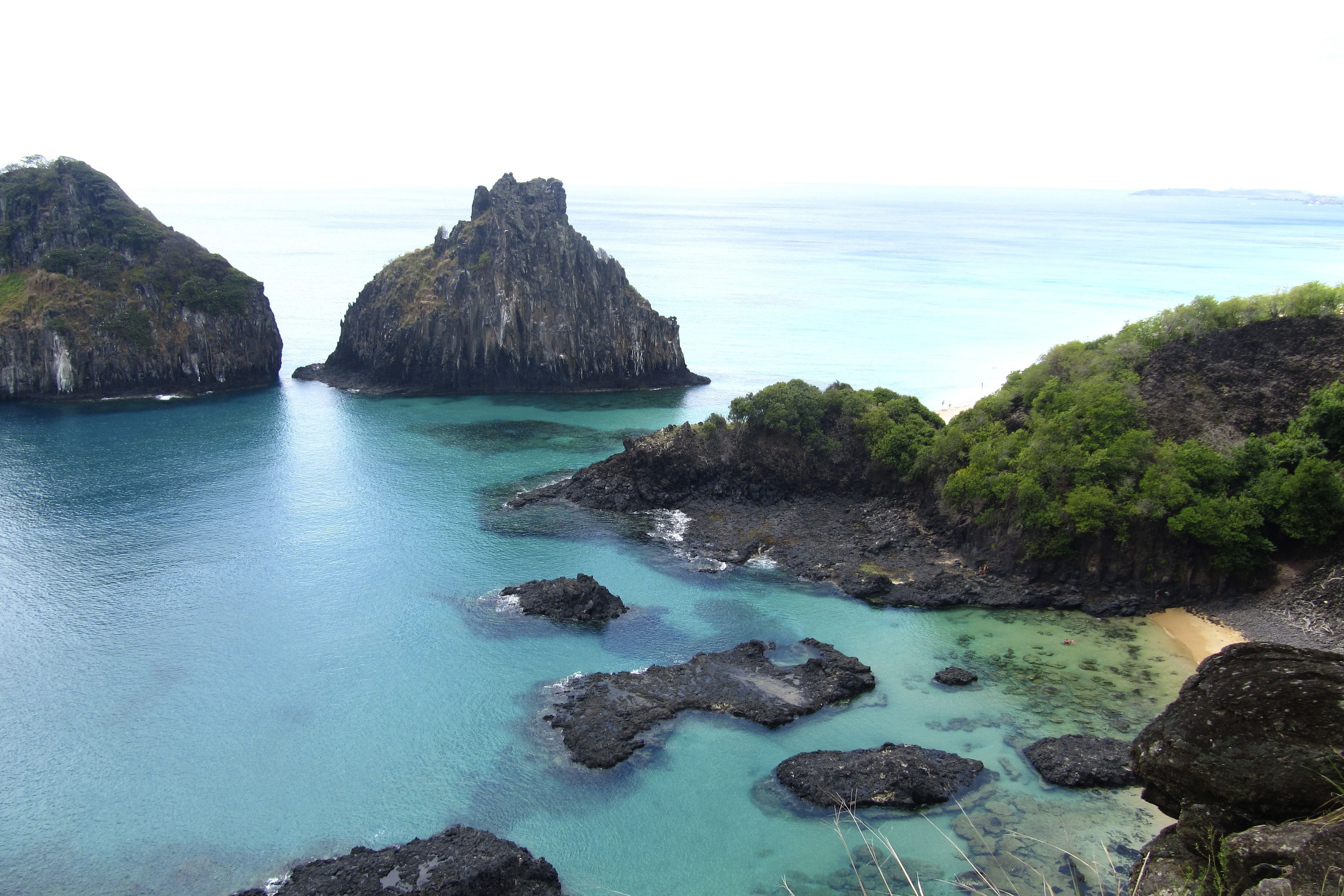 Peixe venenoso se espalha pela costa brasileira e ameaça biodiversidade