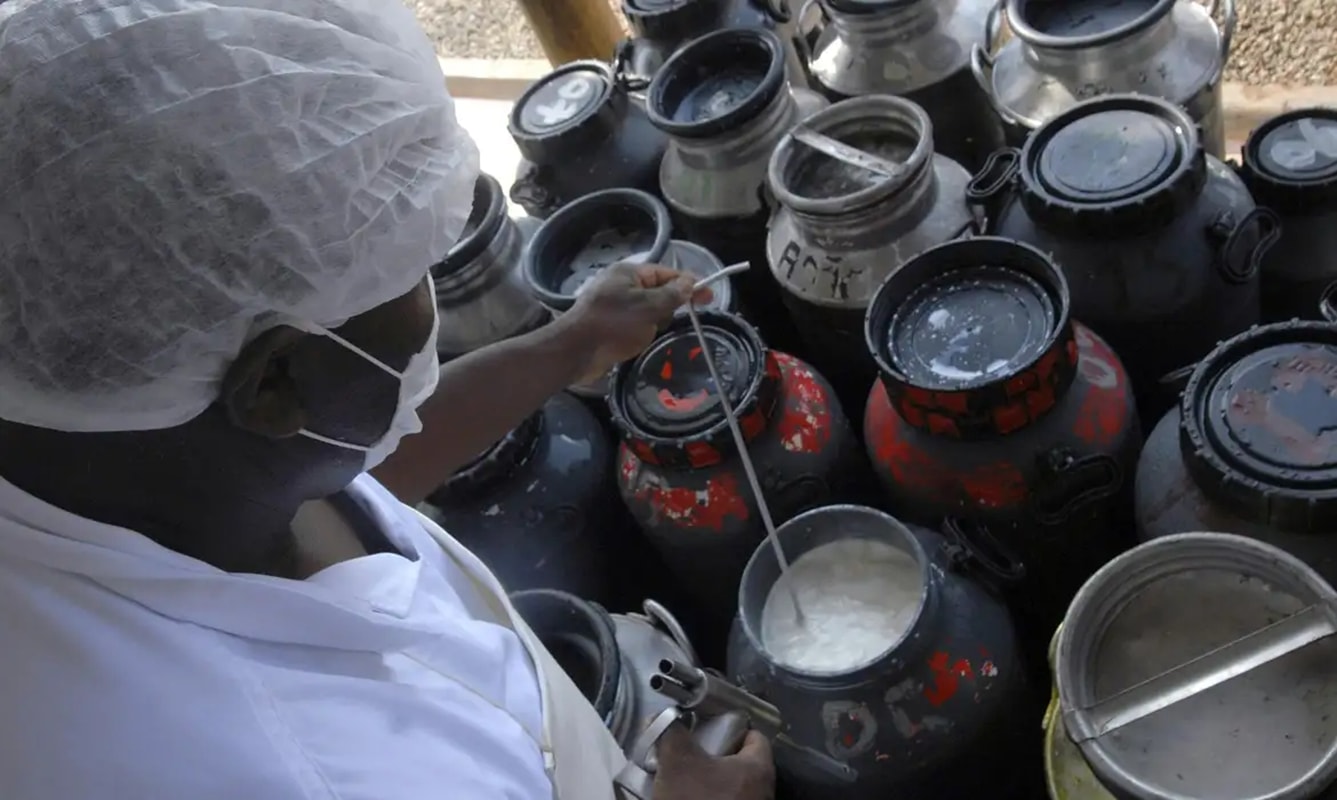 Governo anuncia pacote de investimentos para produção de leite
