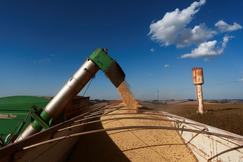 Safra de grãos 2025/2026 será 2,4% maior, diz a Conab