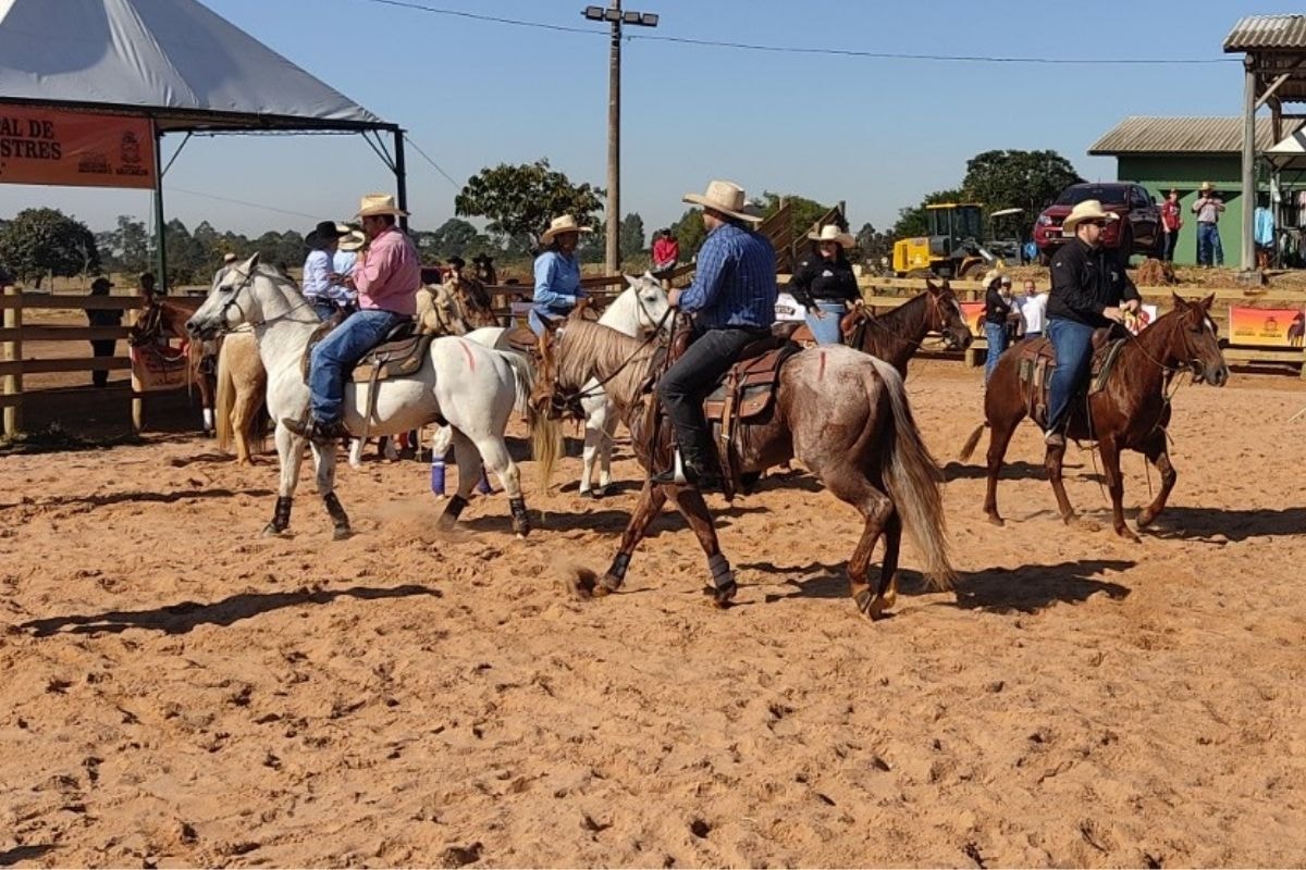 Queima de fogos assusta cavalos e MPSP pede indenização de R$ 100 mil