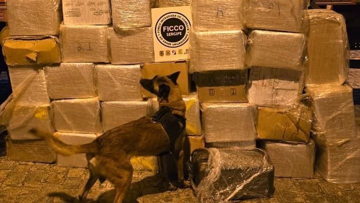 PF apreende quase duas toneladas de maconha em ação no interior de SP