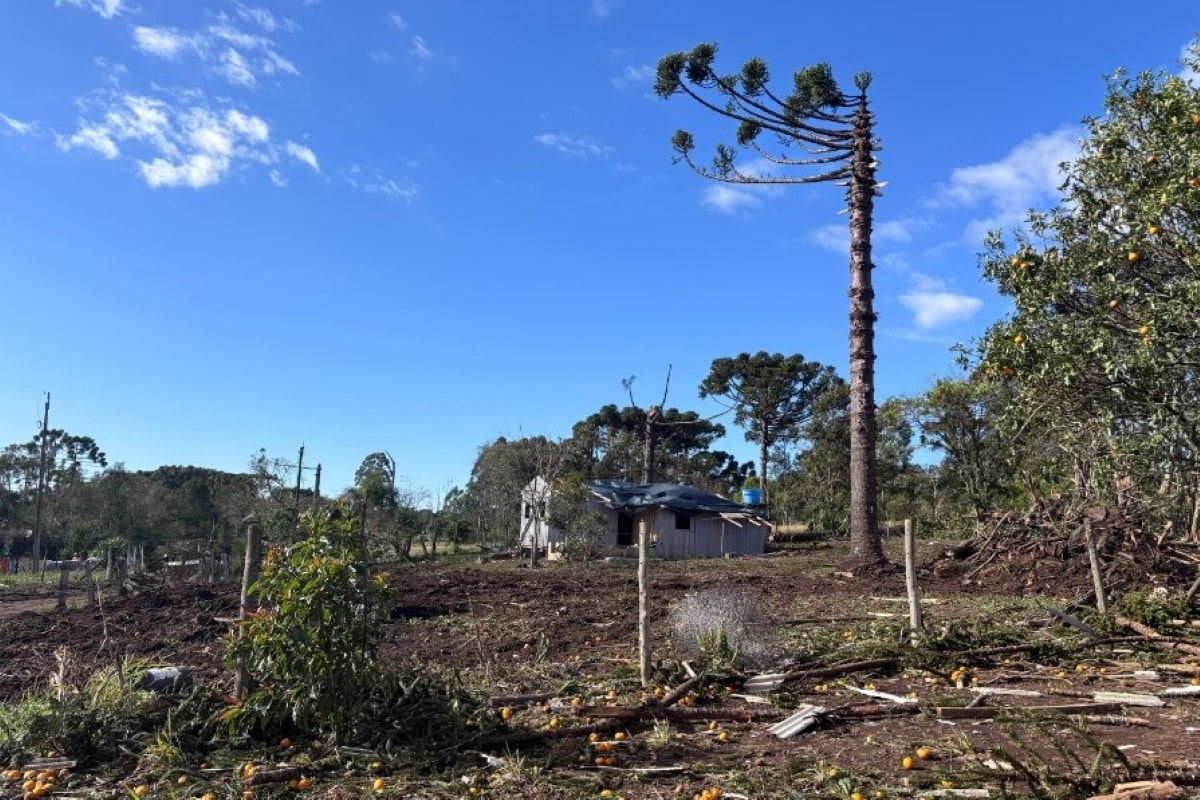 Tornado com ventos de 200 km/h atinge cidade do Paraná