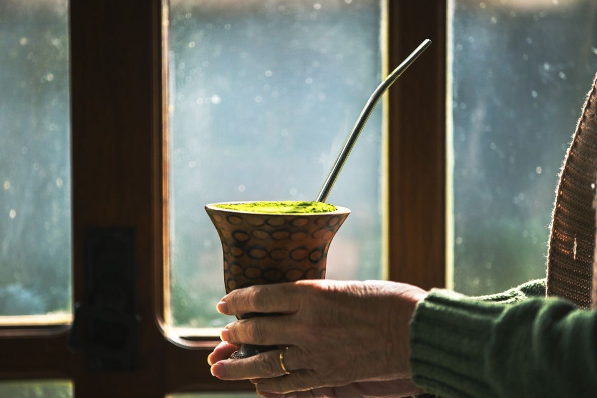 Dia do Chimarrão: erva-mate turbina o metabolismo e protege o coração
