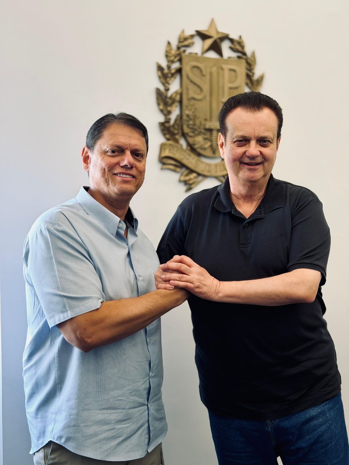 Tarcísio tem plena capacidade de ser presidente e será um dia, diz Flávio