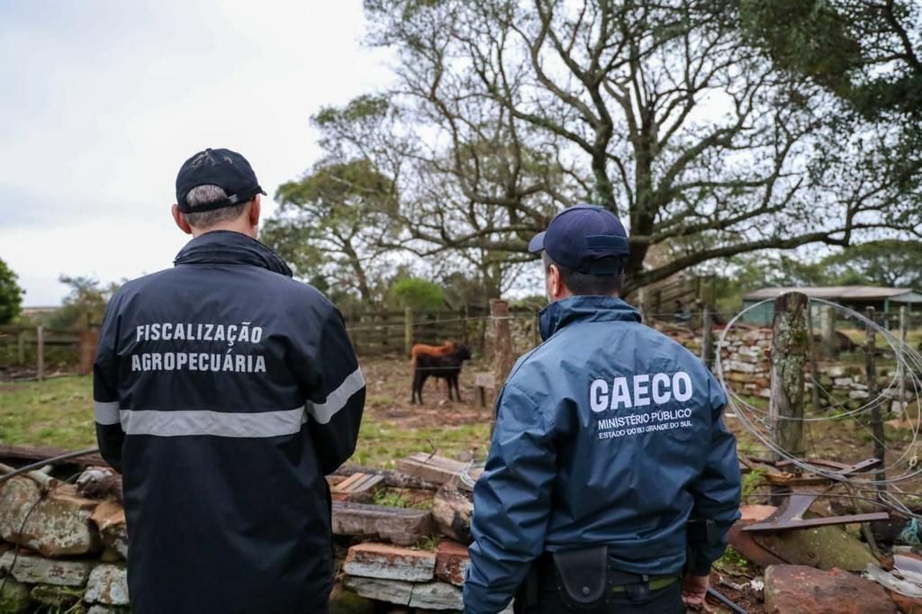 PF investiga lavagem e crime eleitoral após saque de R$ 305 mil no RS