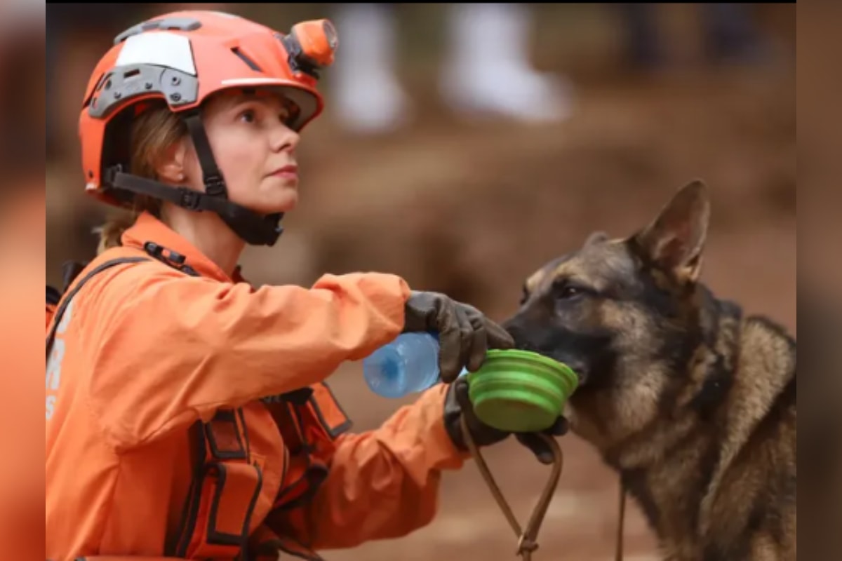 Bombeira e cão de busca retornam ao Brasil após missão na Venezuela