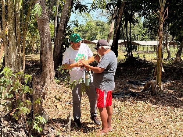 Projeto promove restauração de 200 hectares de florestas no sudeste do Pará