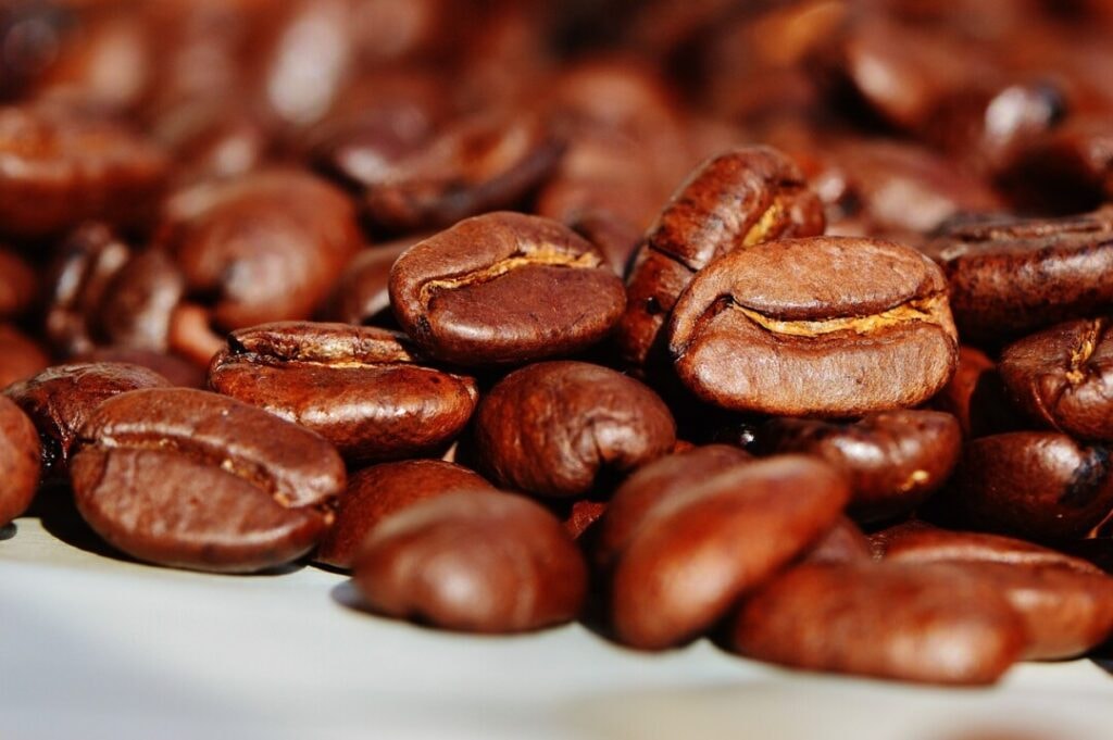Projeto reconhece cultivo de café como opção para reflorestamento na Amazônia Legal