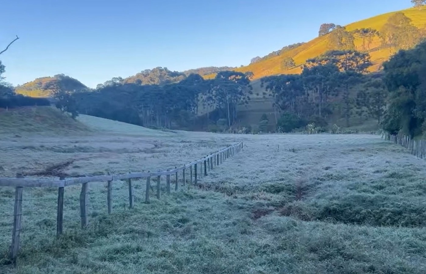 Geada cobre cidade de MG após temperaturas ficarem abaixo de zero