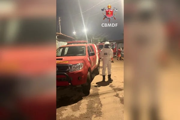 Enxame de abelhas invade residência em Taguatinga e mobiliza bombeiros