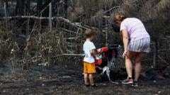 Incêndios florestais na França revelam centenas de projetéis da Segunda Guerra Mundial