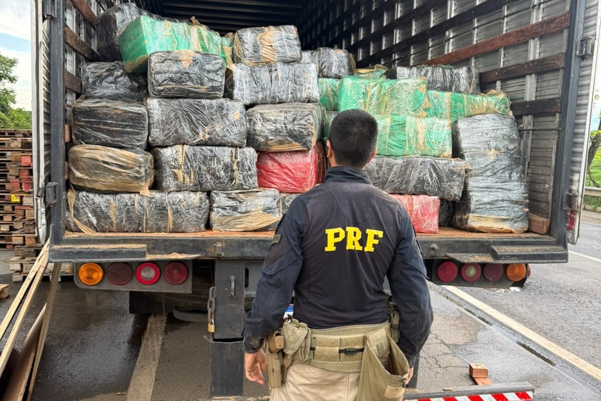 Polícia apreende 3,5 toneladas de skunk escondidas em carga de caminhão