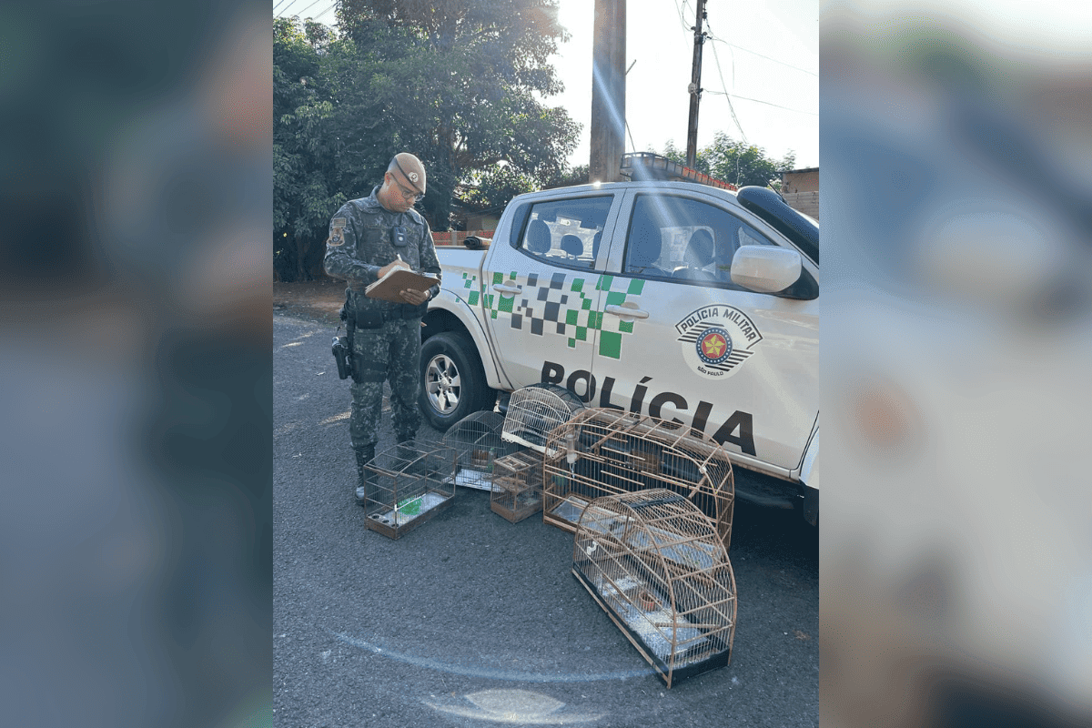 Mulher é multada por manter aves silvestres como bichos de estimação