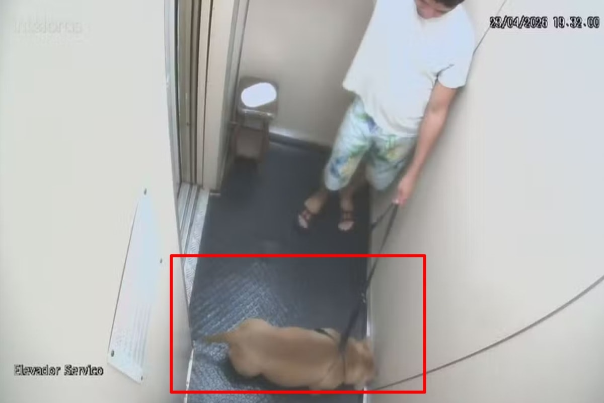 Homem é indiciado por matar pit bull afogado em mar de Copacabana