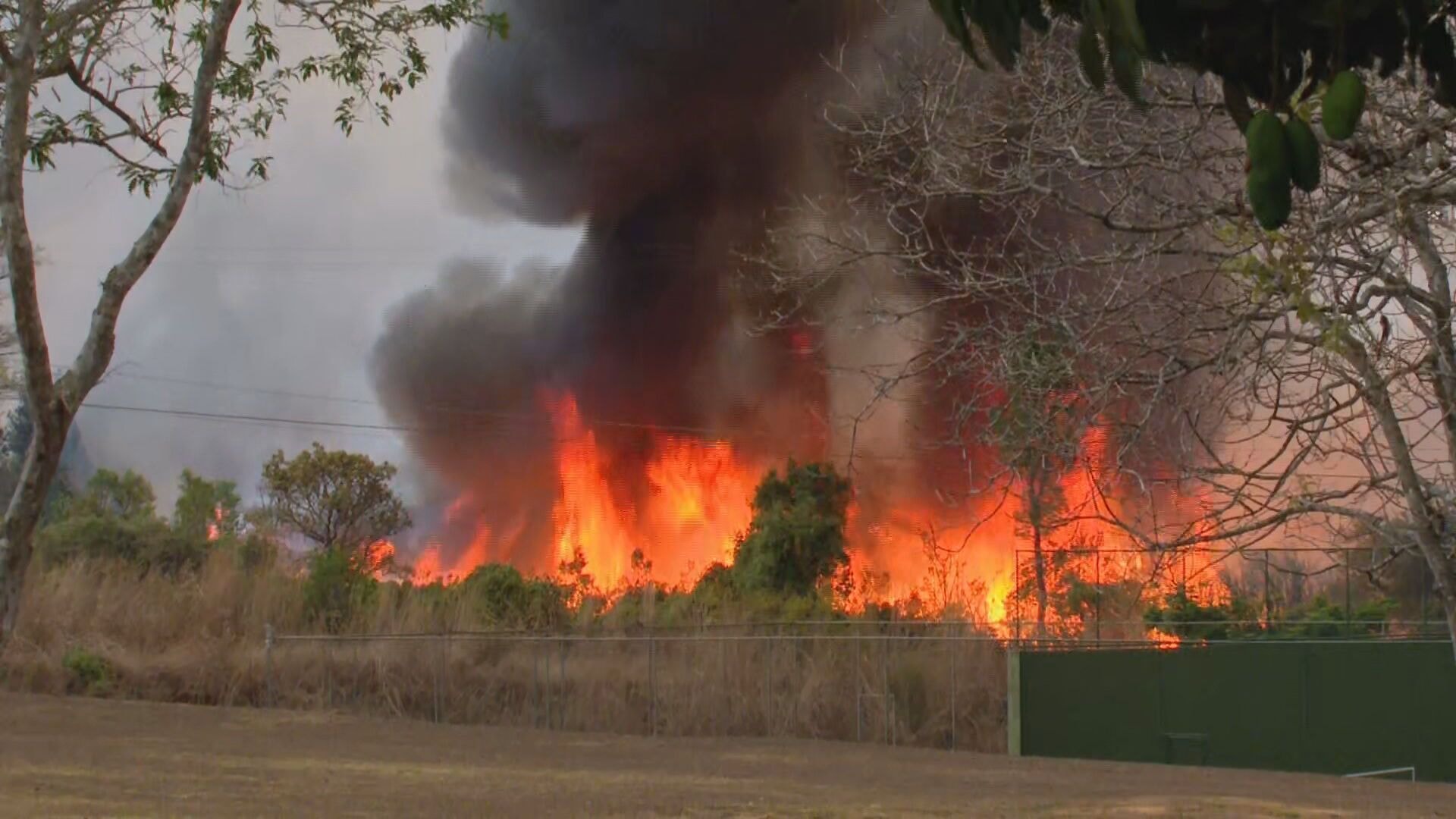 El Niño aumenta risco de incêndios em 399 municípios do Centro-Oeste